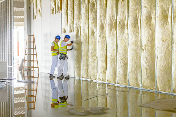 Best Pipe and Duct Insulation  in Sumner, IL